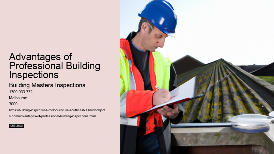 Advantages of Professional Building Inspections